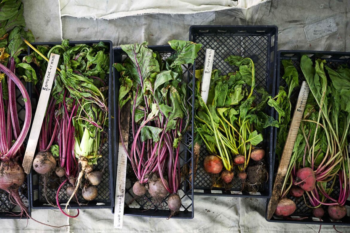 crates of beets