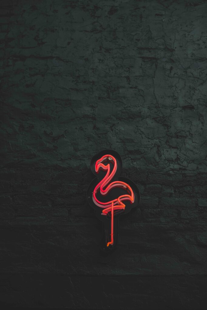 a pink neon flamingo against a black-painted brick wall