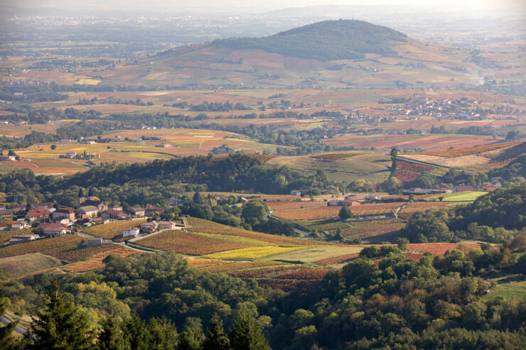 beaujolais region of france landscape
