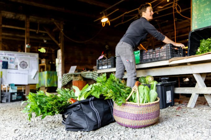 person gathering a csa share at a farm