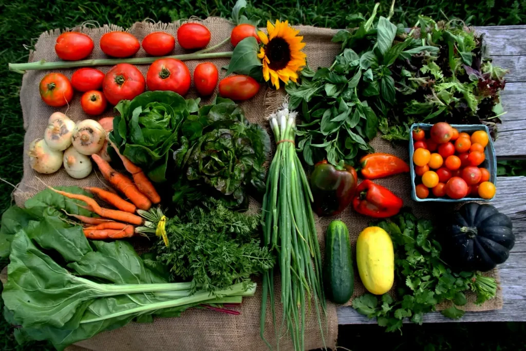 the contents of a Hudson Valley CSA share spread on a rustic wooden tabletop: tomatoes, green onions, carrots, peppers, squash, a sunflower, collard greens, and more.