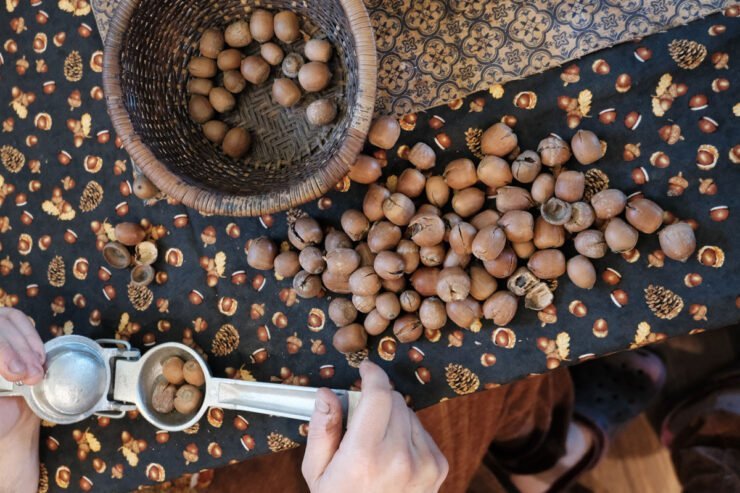 making acorn flour
